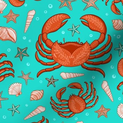 Crabs, starfish and seashells on a turquoise background