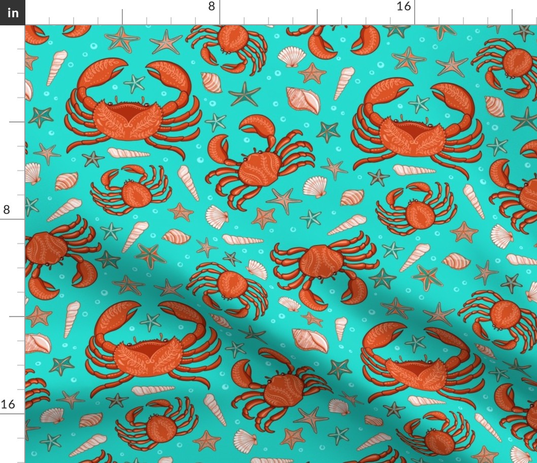 Crabs, starfish and seashells on a turquoise background