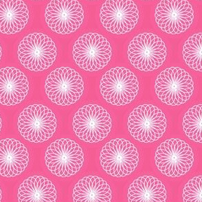 Chrysanthemum Circle Pattern pink and white