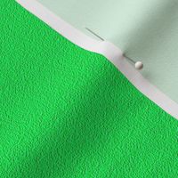 HCF16 - Kelly Green Sandstone Texture
