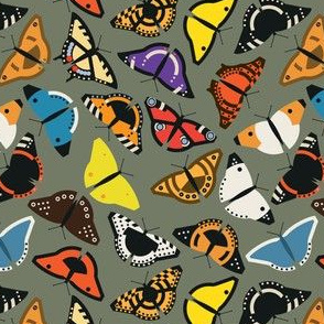 ButterflyGarden