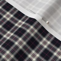 Thomson / Thompson mini  tartan, 1" reversed grey