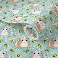 guinea-pigs-with-bees-on teal