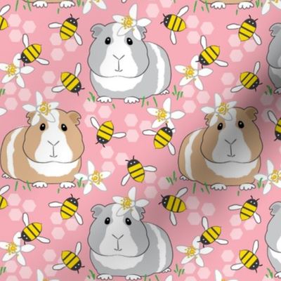 guinea-pigs-with-bees-on-pink