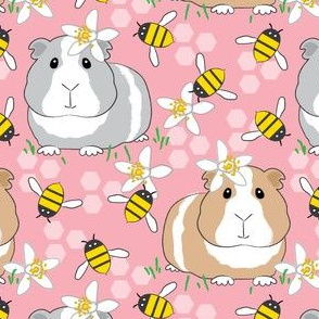 guinea-pigs-with-bees-on-pink