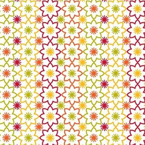 Flower star white
