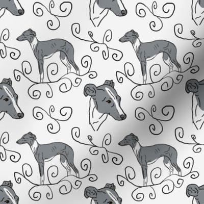 Italian Greyhound Elegance - gray