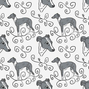 Italian Greyhound Elegance - gray