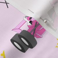 Princess race cars