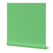 HCF21 - Rustic Green Pastel Sandstone Texture