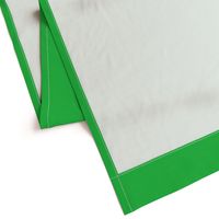 HCF21 - Spring Green Solid