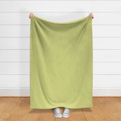 HCF22 - Rustic Lime in my Olive Green Pastel Sandstone Texture