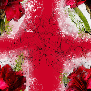 Amaryllis _3_ Red Amaryllis_Red flower