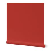 HCF23 - Red Orange Coral Sandstone Texture