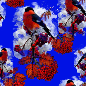 Bullfinch_5_Rowan_Red Rowan