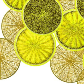 Lemons (JUMBO) by Su_G_©SuSchaefer