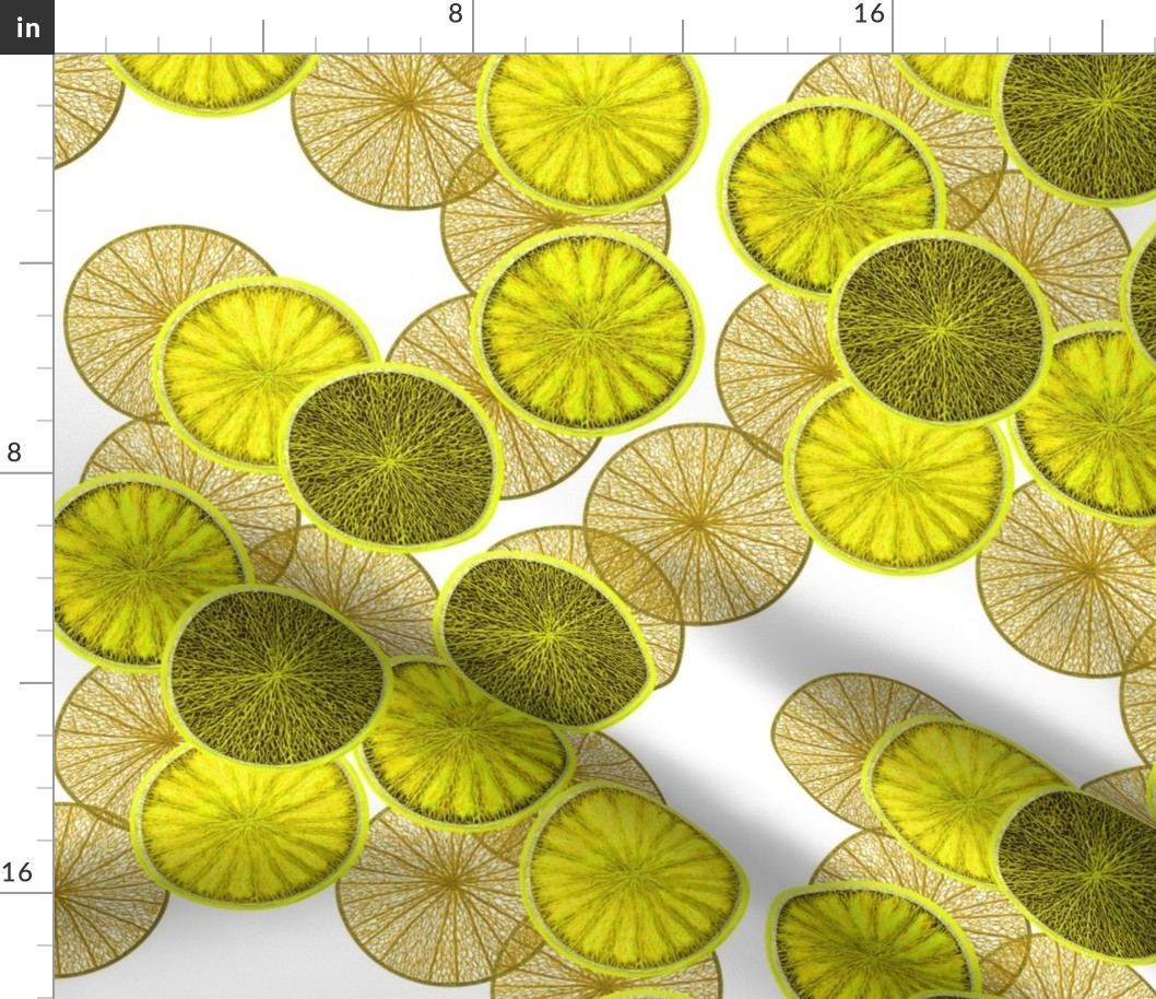 Lemons (JUMBO) by Su_G_©SuSchaefer