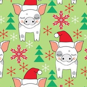 spotted christmas pigs