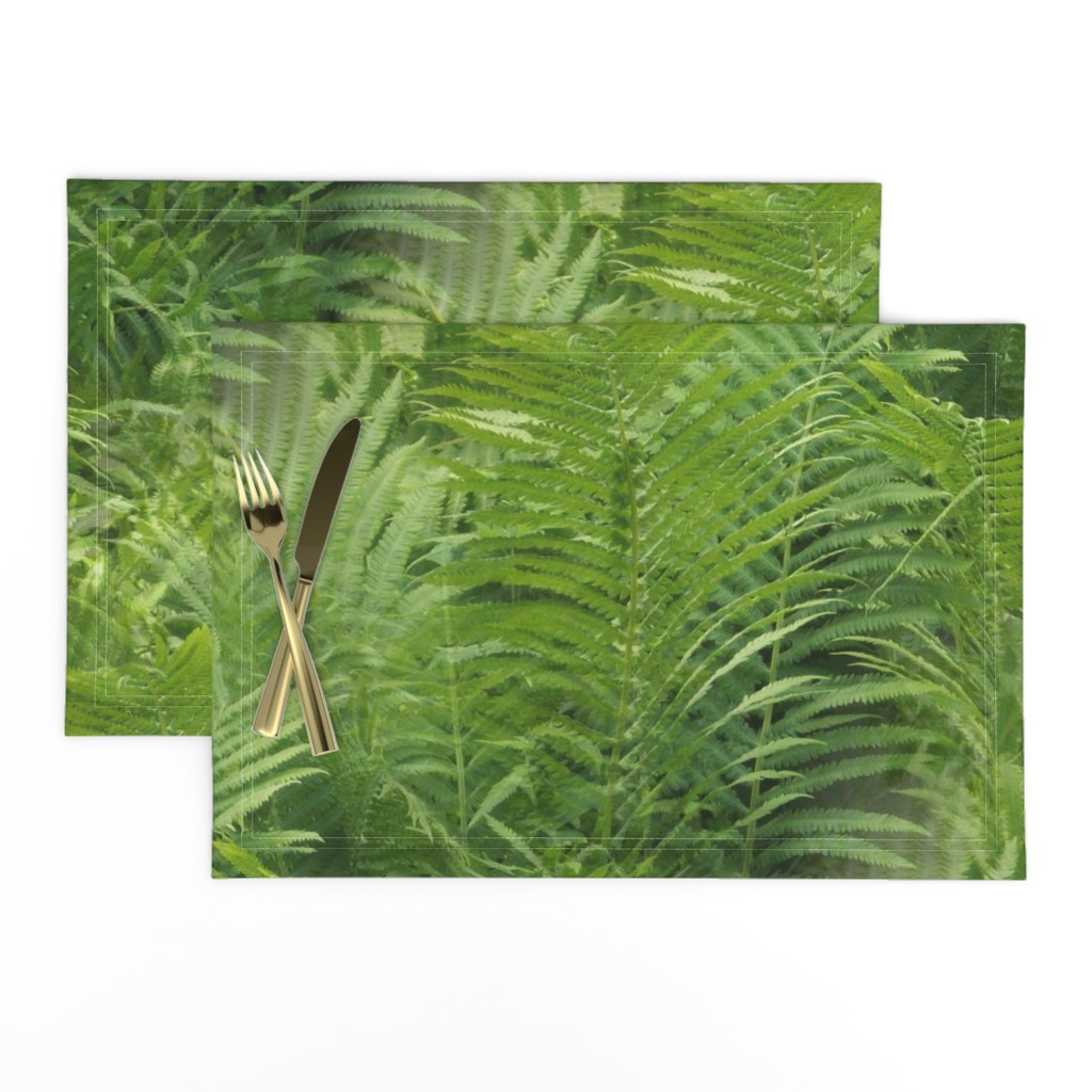 Fern Forest