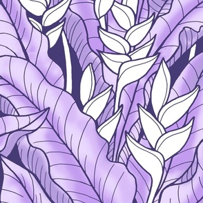 Hawaiian Heliconia-violet