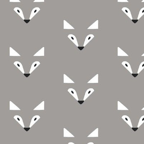 shadow fox in grey