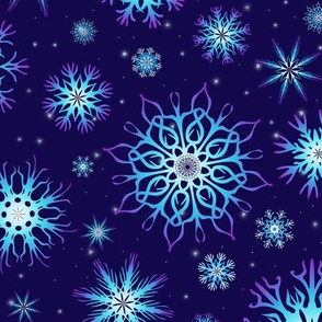 Snowflakes Night