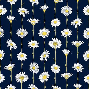 Daisy Chain