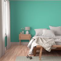 HCF31 - Rustic Turquoise Pastel Solid