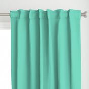 HCF31 - Rustic Turquoise Pastel Solid