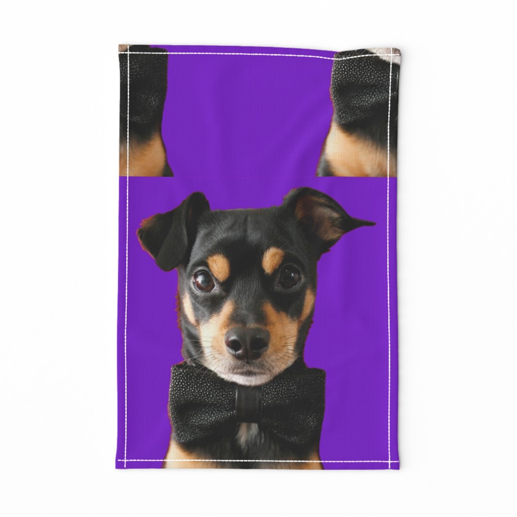 Top Dog in Purple