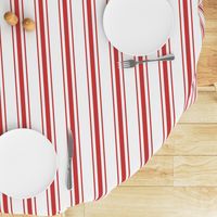 Mattress Ticking Wide Striped Pattern in Red and White