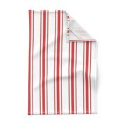 Mattress Ticking Wide Striped Pattern in Red and White