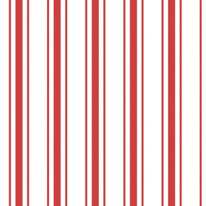 Mattress Ticking Wide Striped Pattern in Red and White