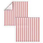 Mattress Ticking Narrow Striped Pattern in Red and White