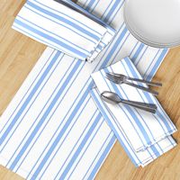 Mattress Ticking Wide Striped Pattern in Pale Blue and White