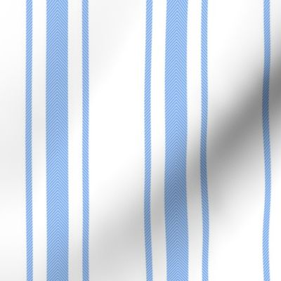 Mattress Ticking Wide Striped Pattern in Pale Blue and White