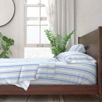 Mattress Ticking Wide Striped Pattern in Pale Blue and White