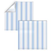 Mattress Ticking Wide Striped Pattern in Pale Blue and White