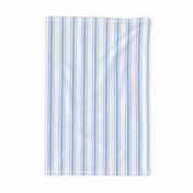 Mattress Ticking Narrow Striped Pattern in Pale Blue and White