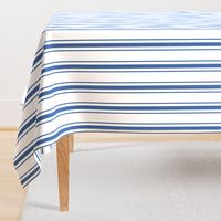 Mattress Ticking Wide Striped Pattern in Dark Blue and White