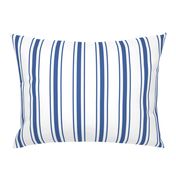 Mattress Ticking Wide Striped Pattern in Dark Blue and White