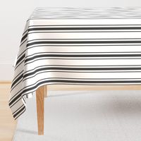 Mattress Ticking Wide Striped Pattern in Dark Black and White