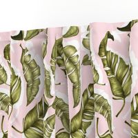 Green leaves with pink background