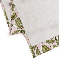 Green leaves with pink background