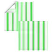 Mattress Ticking Wide Striped Pattern in Neon Green and White