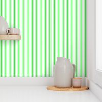 Mattress Ticking Wide Striped Pattern in Neon Green and White