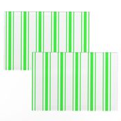 Mattress Ticking Wide Striped Pattern in Neon Green and White