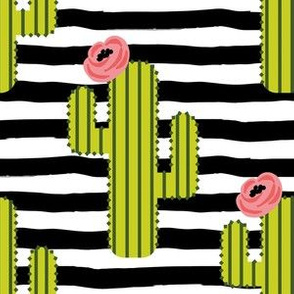 6" Fiesta Cactus - Black & White Stripes