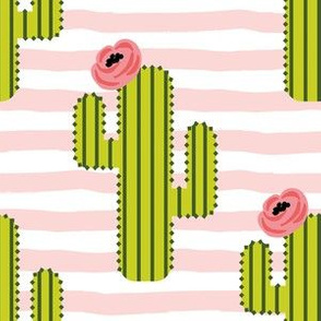 6" Fiesta Cactus - Pink Stripes
