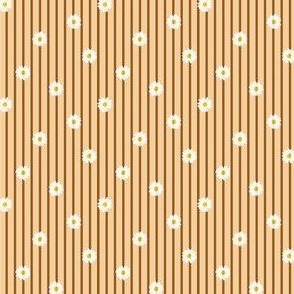 stripes daisies on browns 9c5918 abd f1cf9f